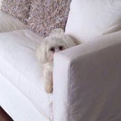 Heather Manning's photo