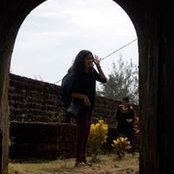 Sandra Rose's photo