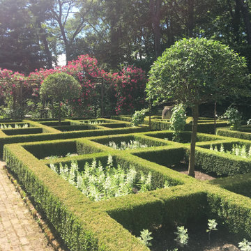 Formal Gardens with Boxwoods, Topiaries and Plants