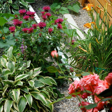 Mimico Organic butterfly garden