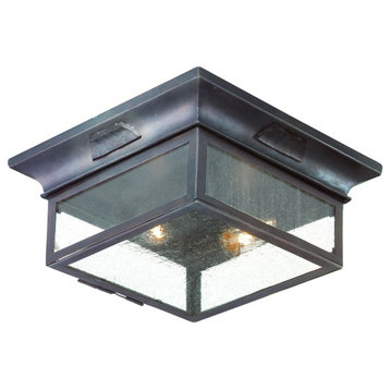 Troy Lighting Newton Two Light Flush Mount CCD9000OBZ