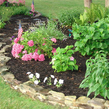 under tree plants