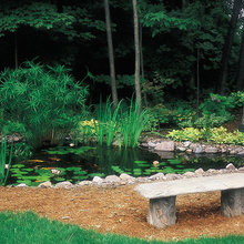 tricia_bordersites's ideas
