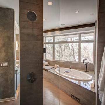 Edina Master Bath