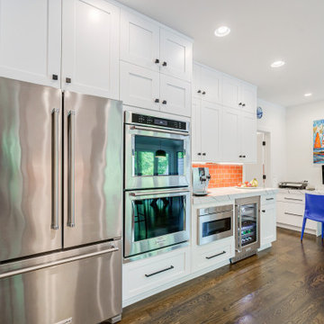 Roswell Remodel