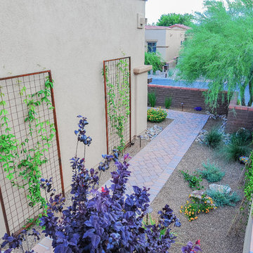 Transformed Tucson Courtyard