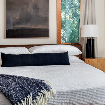 Organic Modern Mountain hhome