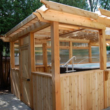 Swim Spa