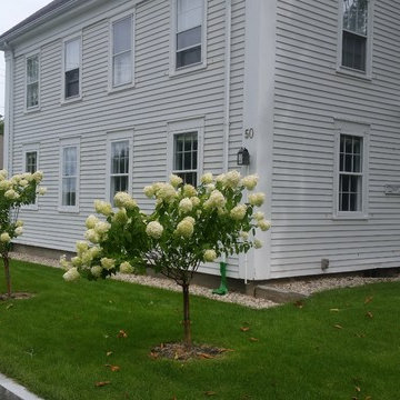 Driveway Re-location Gives New Space