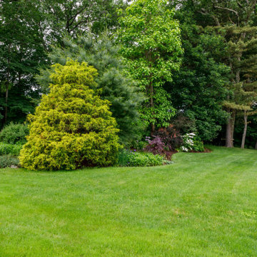 Mature Garden