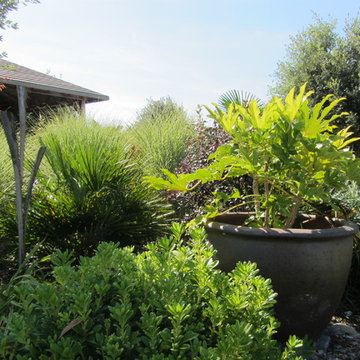 Jardin exotique