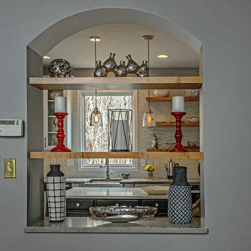 Modern Inspiration - kitchen remodel with arched opening