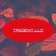 Trident, LLC