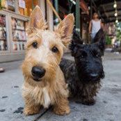 Jan Wilson's photo