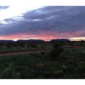 Susan Taylor's photo