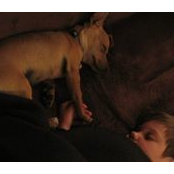 Andrea Thorpe's photo