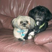 Palma Warner's photo