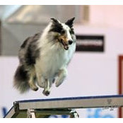 Julie Smarney's photo