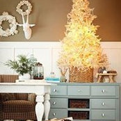 Nicole Ibanez's photo