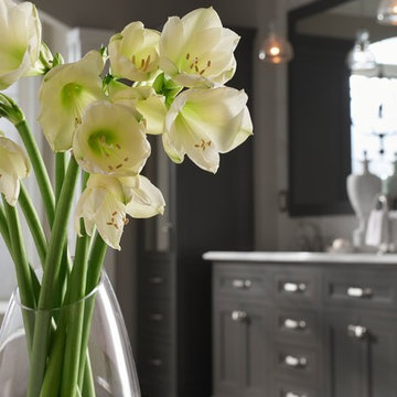 Portico Collection