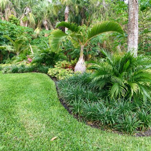 front garden