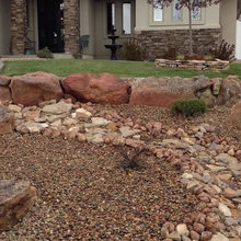 Front yard