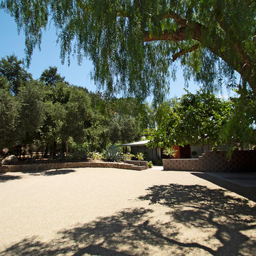 New 1-Year-Old Garden