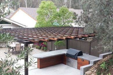Inspiration for a modern landscaping in San Diego.