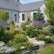 front landscape