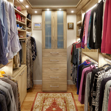 Project Swan Lake - Walk-In Closet