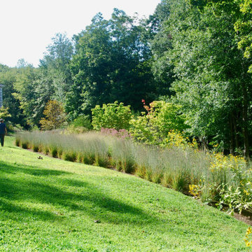 Native Meadow