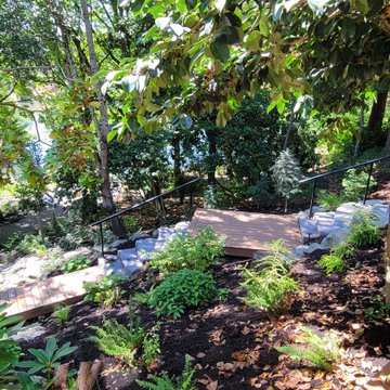 Scenic Descent: A Safe and Stunning Lakeside Path