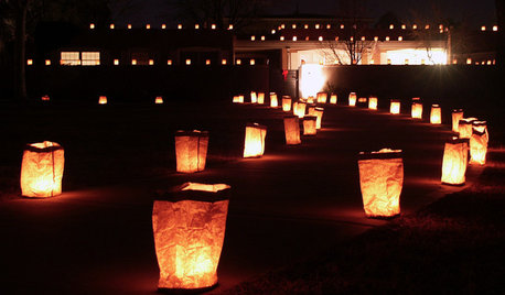 Southwest Gardener's December Checklist