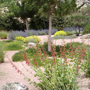 Water Conserving Gardens & Xeriscape