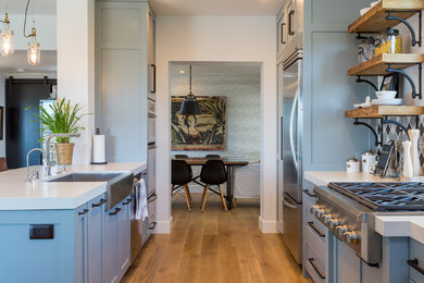 Inspiration for a transitional single-wall light wood floor kitchen remodel in Los Angeles with a farmhouse sink, shaker cabinets, gray cabinets, quartzite countertops, stainless steel appliances and an island