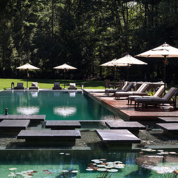 Bio Nova Natural Swimming Pool