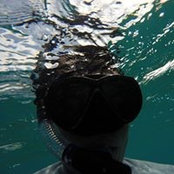 Will Seith's photo