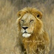 Barbi Kutilek's photo