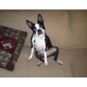 Stephenie Novosel's photo