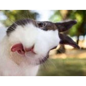 Foto de Chseal Rn
