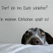 Foto von Michaela Socher