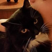Mary Minnish's photo