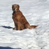Christine Southard's photo