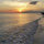 terrie_lynch