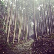 Rohit Acharya's photo