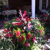 Susan Johnson's photo