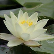 MaryAnn Smith's photo