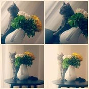 Doğa Akgün's photo
