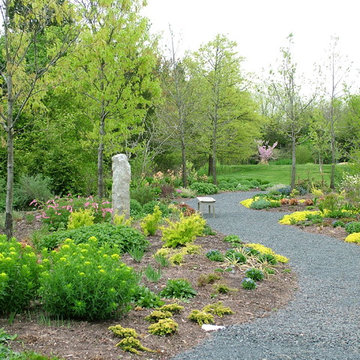 Deer Resistant Garden