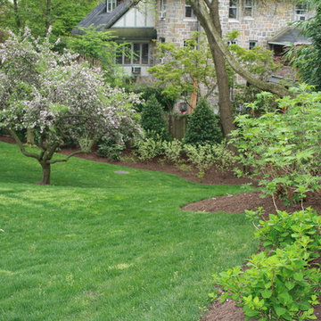 Cleveland Park Dream Garden